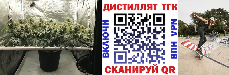 Купить  Усмань  ТГК гашишное масло 